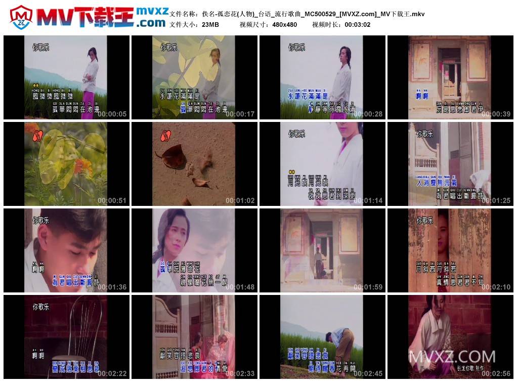 佚名-孤恋花(人物)_台语_流行歌曲_MC500529